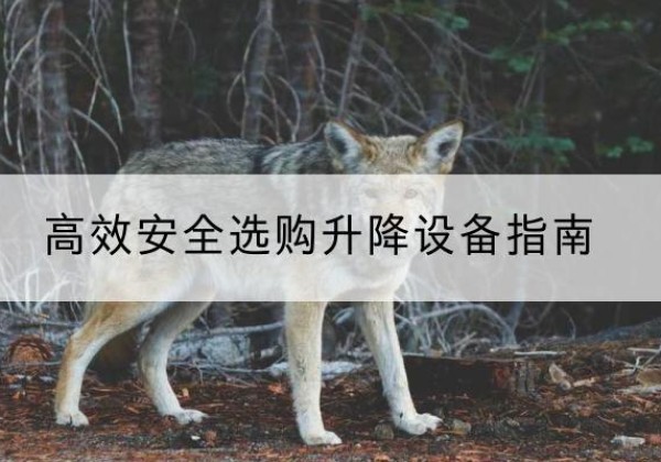 西山升降货梯厂家推荐-*安全选购升降设备指南