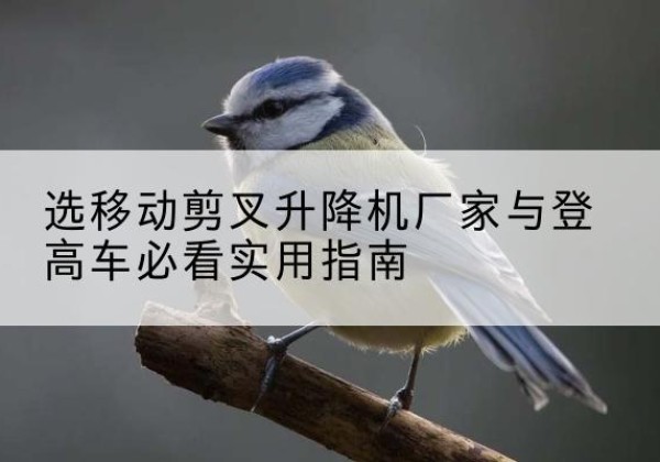 西山电动升降机厂家-选移动剪叉升降机厂家与登高车必看实用指南